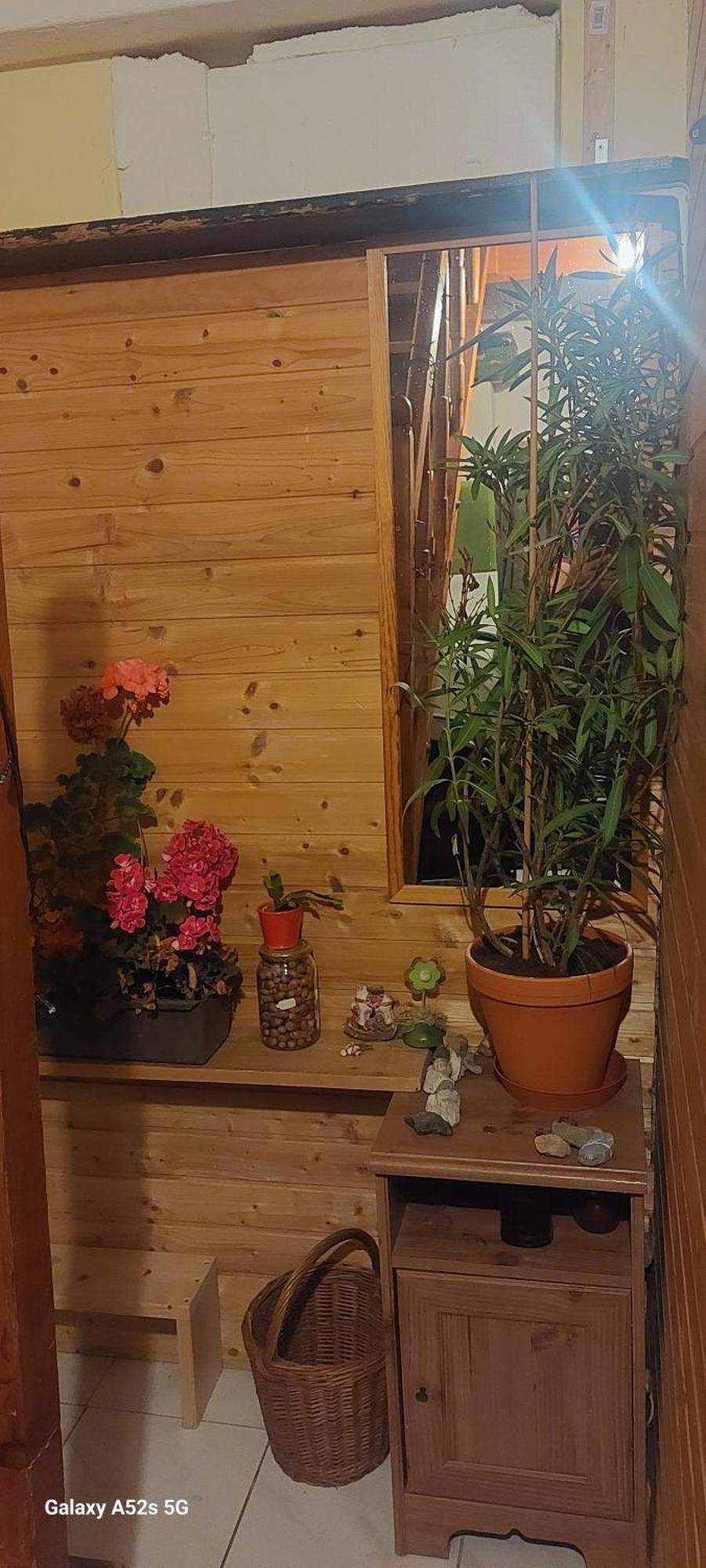 Brno - Apartman V Bohemske Ctvrti Kamenka المظهر الخارجي الصورة